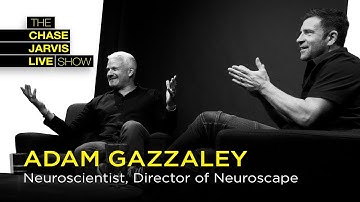 Tame Your Distracted Mind with Neuroscientist Adam Gazzaley