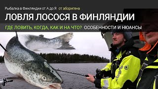 Ловля лосося в Финляндии на озере Сайма. Как ловить, когда, где и на что? Особенности и нюансы.