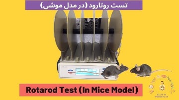 Rotarod Test / تست روتارود