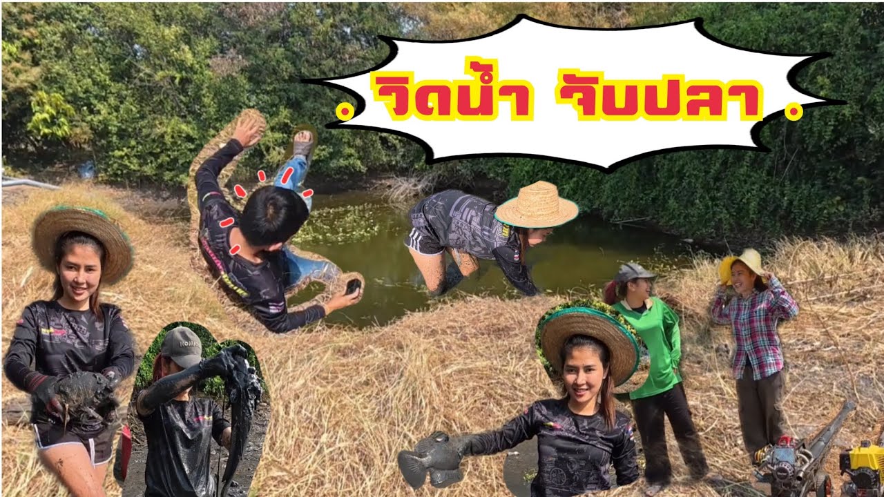 วิดน้ำ จับปลา