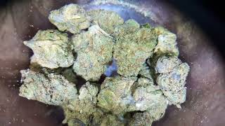 THCA SMALL BUDS.. BUBBA FETT.. GARY POPIN..HONEST TO REVIEW THCA #thcareview 