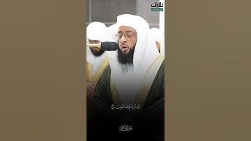 أَفَمَن زُيِّنَ لَهُ سُوءُ عَمَلِهِ فَرَآهُ حَسَنًا ۖ. تلاوة الشيخ بدر التركي سورة فاطر