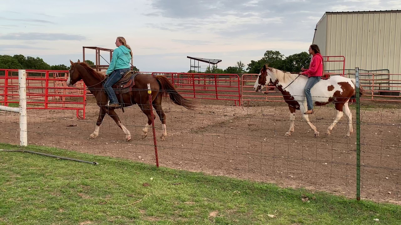 Turn cattle out with Chrome & Disney YouTube