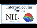 Intermolecular Forces in NH3