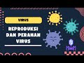 BIOLOGI Kelas 10 - Reproduksi dan Peranan Virus