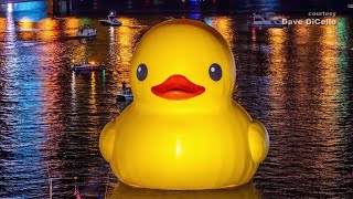 'The Duck Wars' continue at Pittsburgh engineering firm