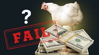 The Shocking Truth About Chicken Farming in Zimbabwe!