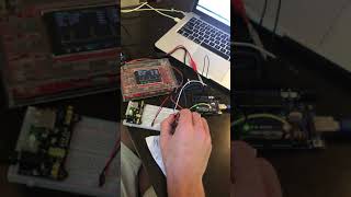 Celebrity Matt Wilson Lab 4 Program 2 Wealth