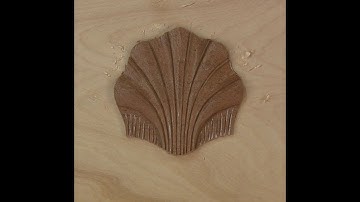 Woodcarving Basics: Scallop Shell Layout