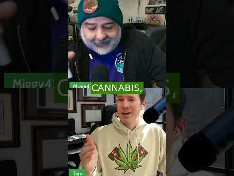 Why hemp wasn’t legalization — loopholes, THCA raids and seeds banned