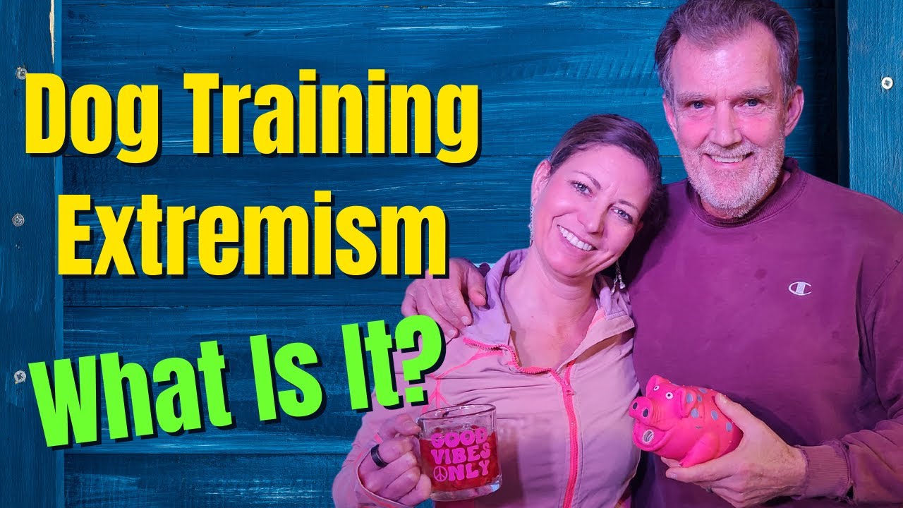 Extremism In Dog Training YouTube