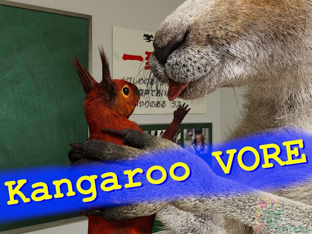 Kangaroo and Squirrel class=