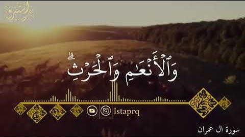 زُيِّنَ لِلنَّاسِ حُبُّ ٱلشَّهَوَٰتِ مِنَ ٱلنِّسَآءِ وَٱلْبَنِينَ...} القارئ عبدالرحمن مسعد ❤️