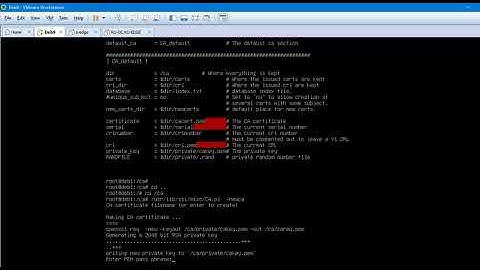 Make a CA and certificate using OpenSSL on Debian