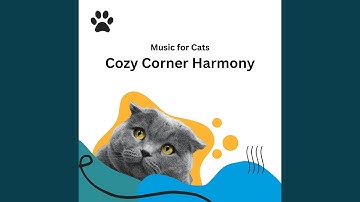 Music for Cats Lazy Day