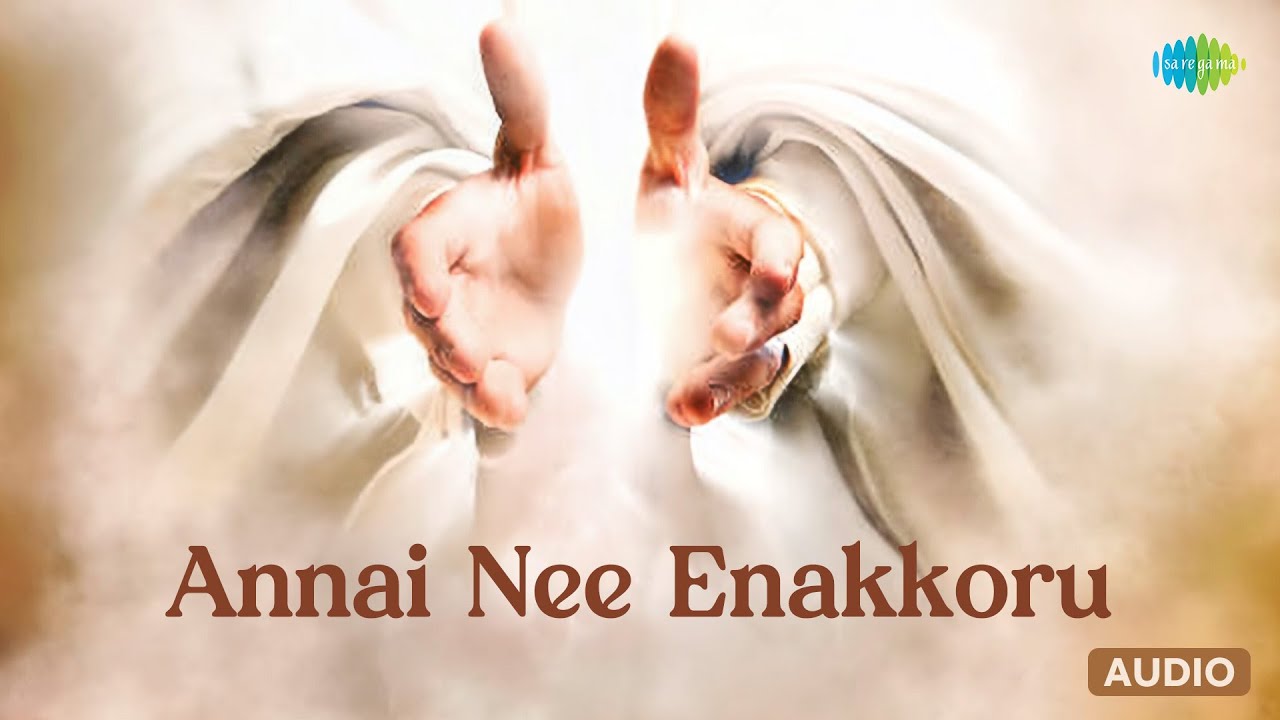 Annai Nee Enakkoru  Lord Jesus Vani Jairam  Saregama Tamil Devotional