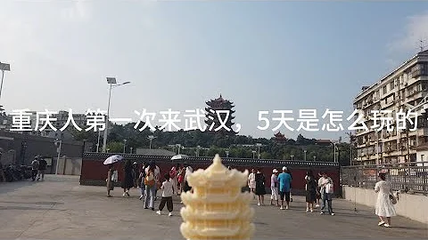 重慶人在武漢五天怎麼是怎麼玩的？網上推薦比較多的地方都去了！ - 天天要聞