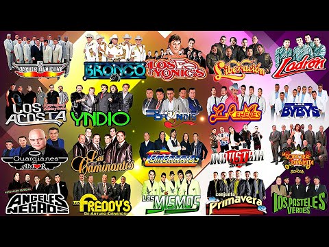 BRONCO, LOS TEMERARIOS, BUKIS, BRYNDIS, ACOSTA, CAMINANTES, YONICS, MIER 💞 GRUPERAS 90S DEL RECUERDO