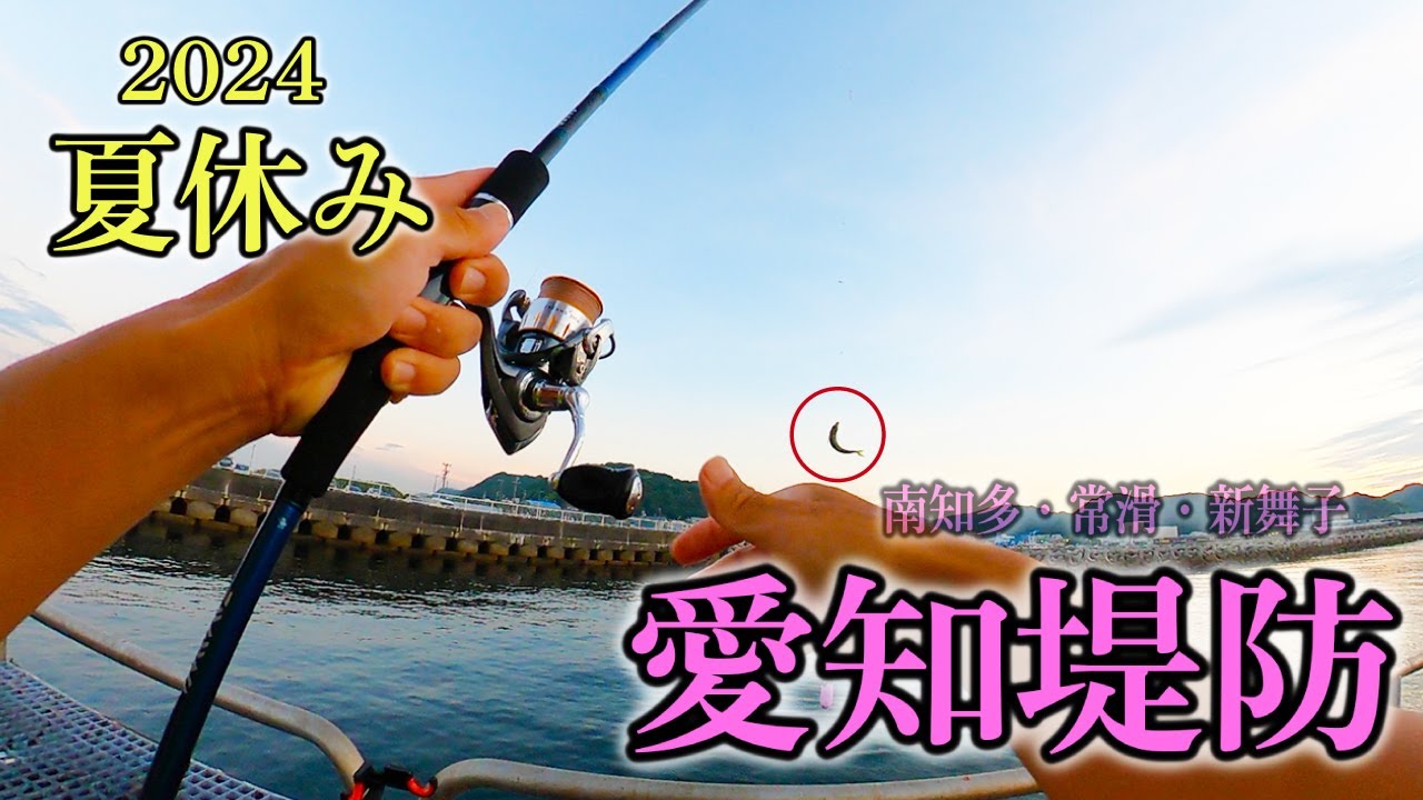 【夏休み】愛知の人気堤防スポット完全ガイド|釣果UPのコツ&失敗しない選び方!