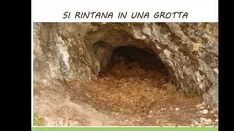 Quali anfibi vanno in letargo?