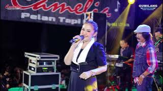 CAMELIA MUSIC - NOT A SOULMATE - EVA AQUILA - WEDDING VIA & ILHAM - JEPARA ANNUAL HARMONY