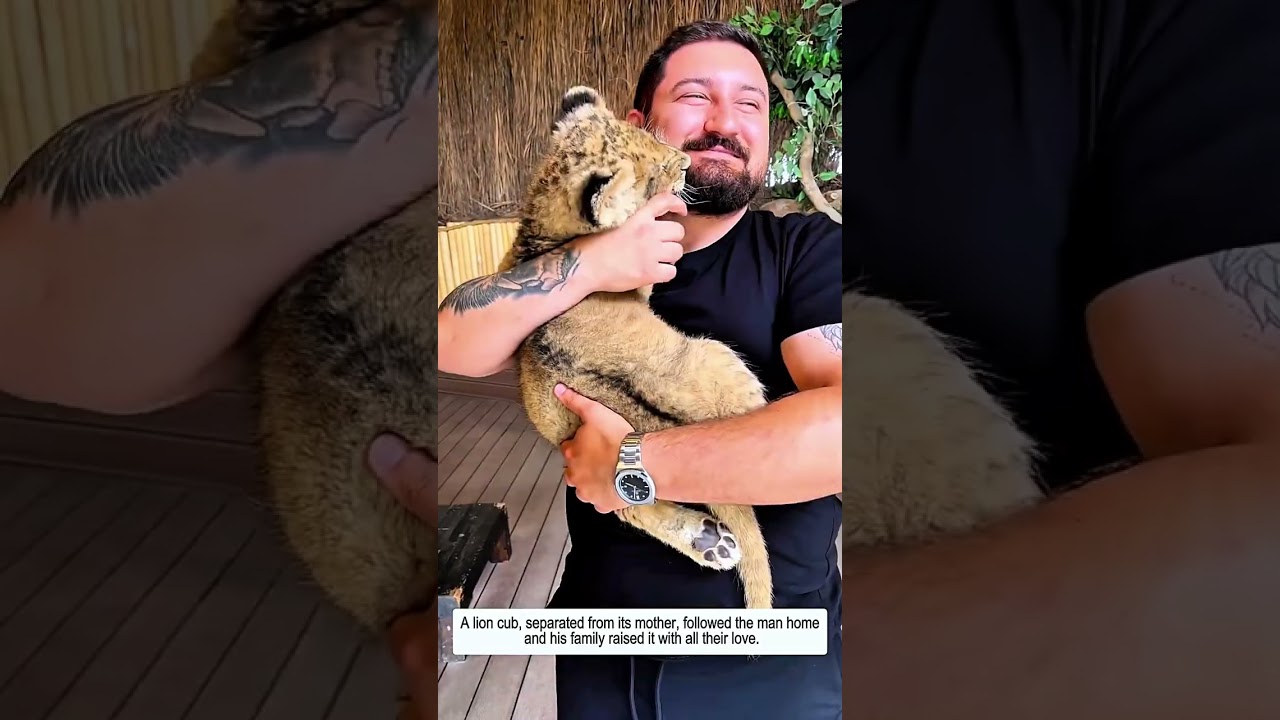 A Small Act of Kindness That Saved an Animal #animals #rescue #animalrescue #wildlife #animalshorts