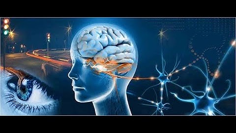 Mind meditation and relaxing music video |  Sleeping video| constraint mind video |