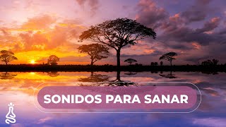 Música Para Relajarse o Meditar & Paisajes de Africa 💛 Sonidos de Flauta para Sanar by Meditación3 23,856 views 4 months ago 1 hour, 28 minutes
