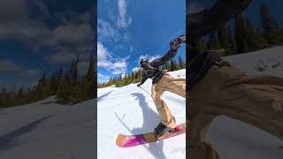 the LITERAL Ski POV