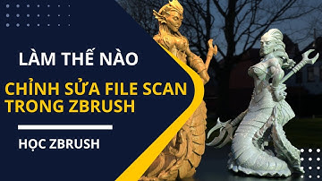 Làm thế nào để chỉnh sửa file scan trong Zbrush | Học Zbrush