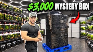 This $3,000 MYSTERY BOX Changed My $40,000 Fish Room!