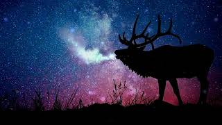 Project Ex - Neo Nebula Melodic Interstellar Musical Adventure No Copyright