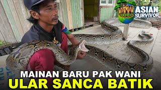 Mr. Wani Conquers a Four-Meter Snake Again, Threatening Livestock Businesses and Transmigration A...