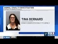 St. Bernard woman booked with aggravated cruelty to animals