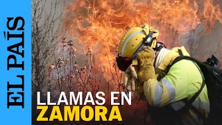 INCENDIO CASTILLA Y LEÓN | Lucha contra el fuego en Molezuelas de la Carballeda, Zamora | EL PAÍS