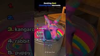 Ranking Best Glowing Pets Moments