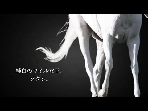 ソダシ ヴィクトリアマイル JRA CM風