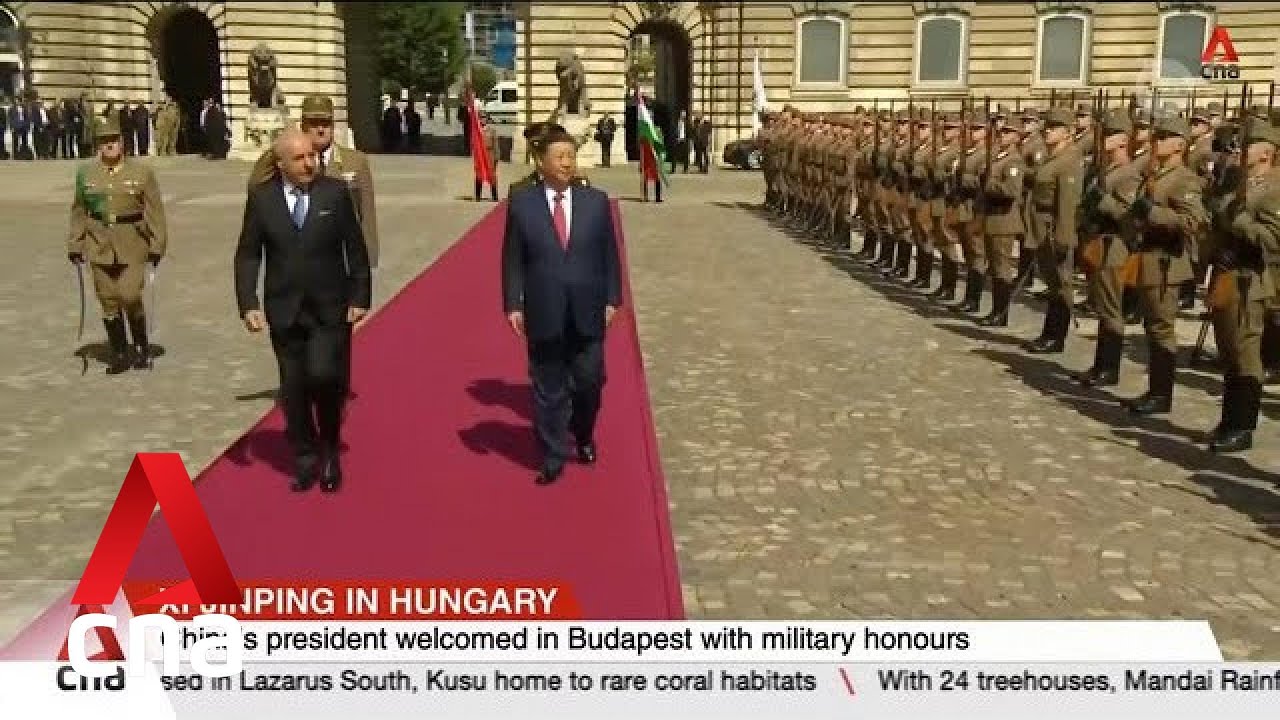 Chinese President Xi looks to jointly elevate ties with Hungary