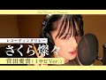 さくら燦々 菅田愛貴 (1サビソロ)
