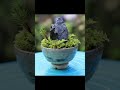 石と苔で作る豆盆栽の作り方