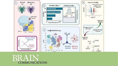 Transcriptomic analysis reveals the altered expression of synaptic genes in Alzheimer