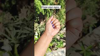 Can you pass this Intuitive Test? 🤫 (The Oracle's Whisper) 🧿✨ #intuitiveguide #whispering