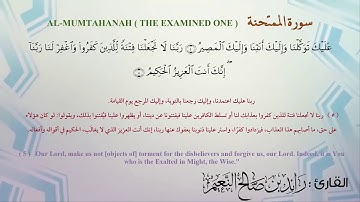 60  سورة الممتحنة القارئ رائد النعيم
