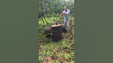 🛠️ Splitting Firewood with the Fiskars Maul — Best Tool for the Job #firewood