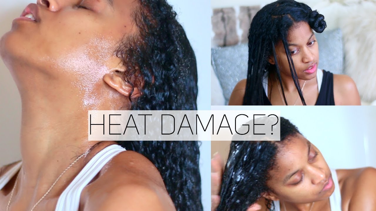 WATCH MY CURLS REVERT (Straight to Curly) on Natural Hair|2019