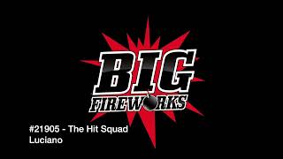 21905 The Hit Squad