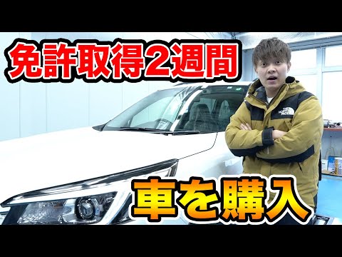 【初心者】車を買う。