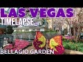 Bellagio Las Vegas Conservatory &amp; Gardens Timelapse 06/15/2019