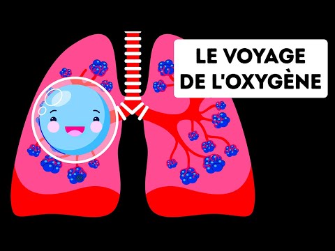 Vidéo: Que signifie l'oxygène pour les enfants ?