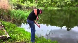 A PASSION FOR CARP The FILM Leon Hoogendijk and Didier Moine SUB ITA A PASSION FOR CARP The FILM Leon Hoogendijk and Didier Moine SUB ITA